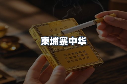 柬埔寨中华